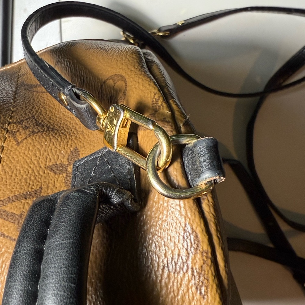 Louis Vuitton LV reverse Monogram Palm Springs Mini - Picture 13 of 16
